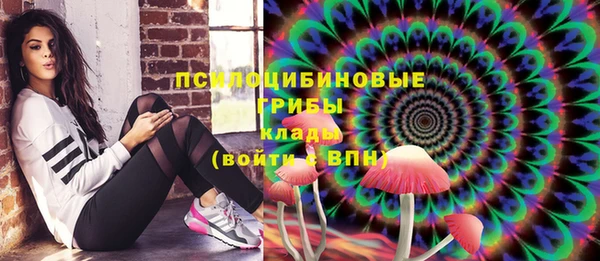 шишки Волосово